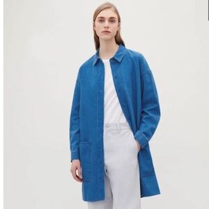 COS Denim Shirt Dress